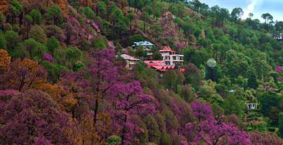 Kasauli Hill Station